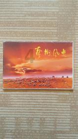 摩娜的时尚装扮